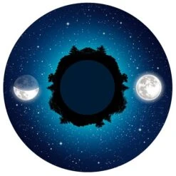 Sport-Thieme Effektrad -Sportarten Fitness Geschäft 176 6149