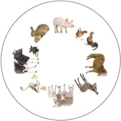 Sport-Thieme Effektrad "Aktivierungsscheibe" -Sportarten Fitness Geschäft 192 3038