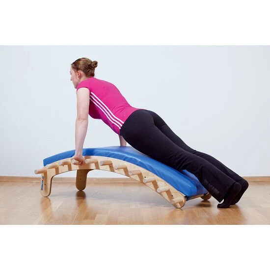 Sport-Thieme Rückentrainer "Edgar" 5 Sport-Thieme Rückentrainer "Edgar" – Bild 3