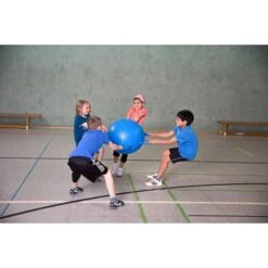 Sport-Thieme Kooperationsspiel "Ringelball" -Sportarten Fitness Geschäft 204 7007 2
