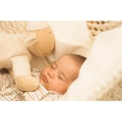 Mira Art Traumschwinger "Babyschwinger" -Sportarten Fitness Geschäft 215 2208 5