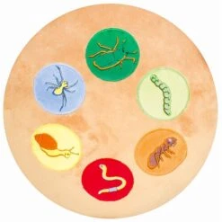 Beleduc Lernspielzeug "Oscar" -Sportarten Fitness Geschäft 275 8709 8